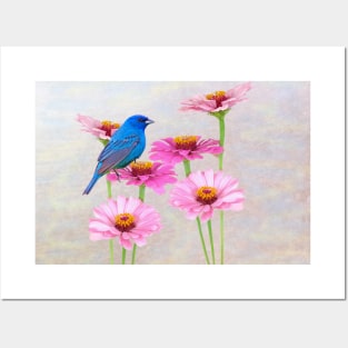 Indigo Bunting and Pink Zinnia Posters and Art